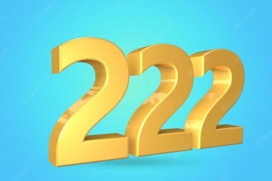 222 Angel Number Love Twin Flame