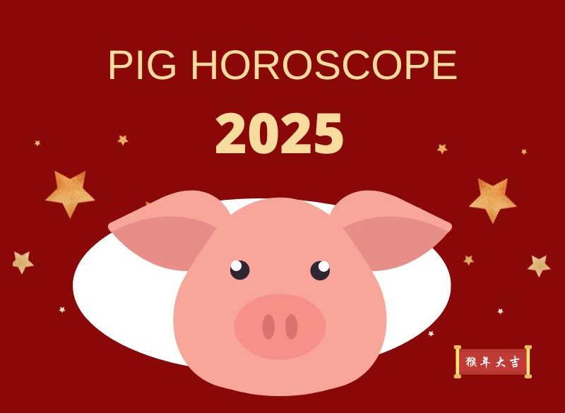 what are the predictions for the zodiac sign Pig in 2025