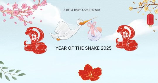 Is 2025 the Perfect Year to Have a Baby? The Year of the Wood Snake Might Be!