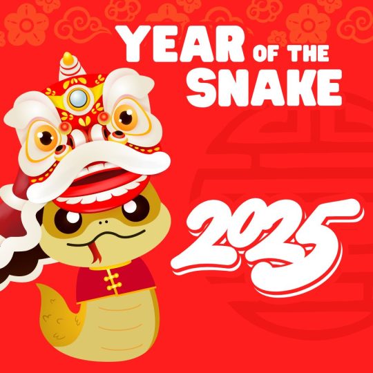 1989 Chinese Zodiac : Your 2025 Horoscope